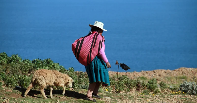 Organiser son excursion depuis Puno sans se faire piéger
