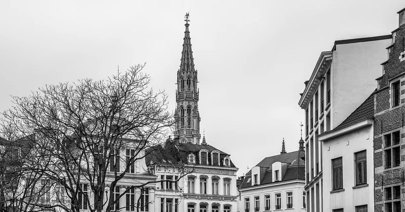 Des alternatives qui méritent le détour (et votre budget)