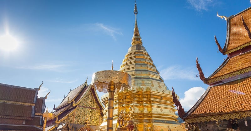Cours de cuisine thaïlandaise à Chiang Mai : vivez une expérience inoubliable