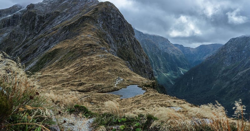 Activités nature et aventure à faire en Nouvelle-Zélande : le top